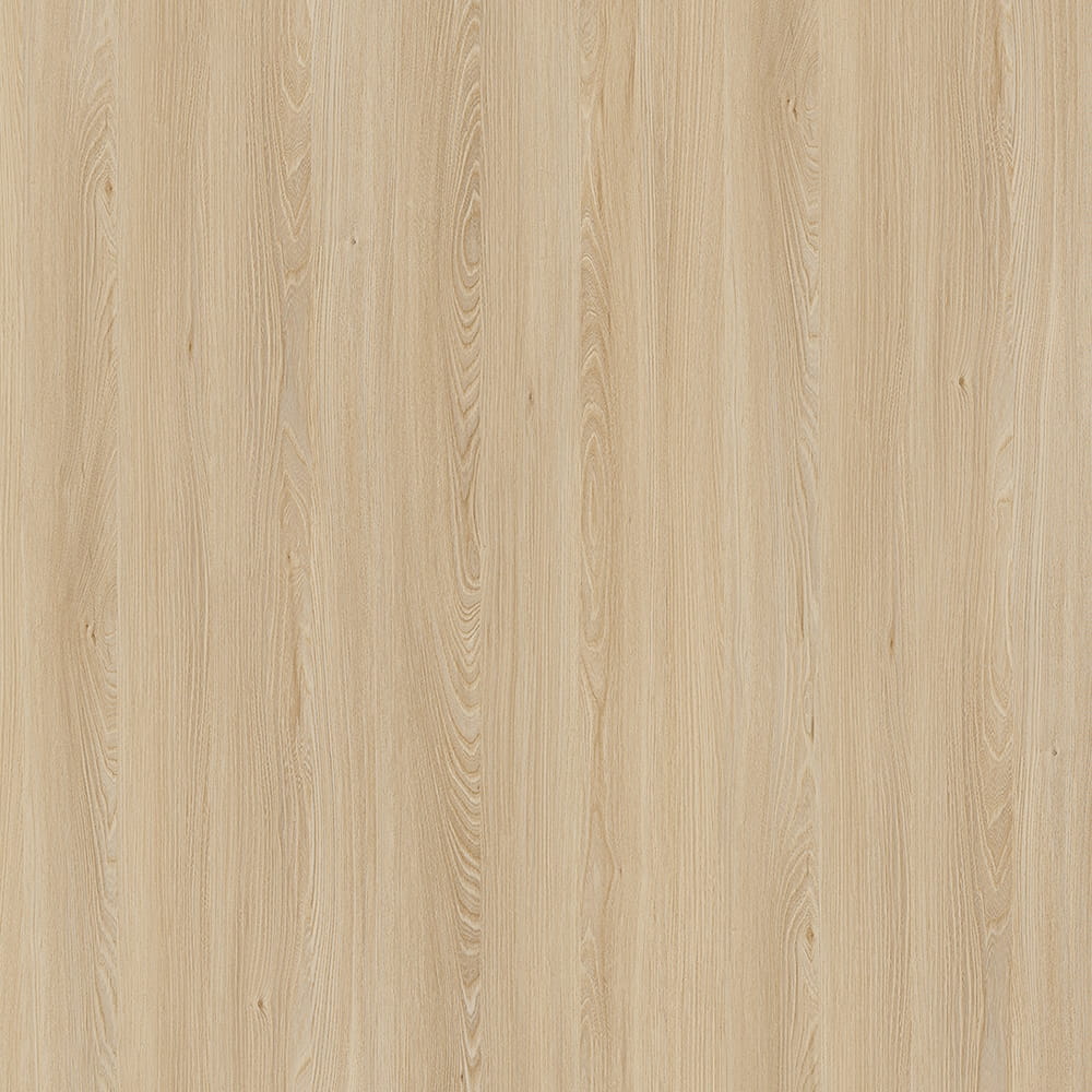 E11032 CAUCASUS ELM