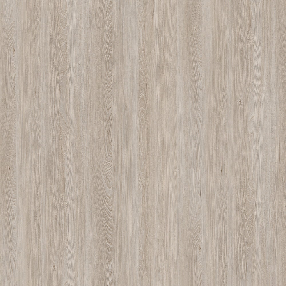 E11032 CAUCASUS ELM