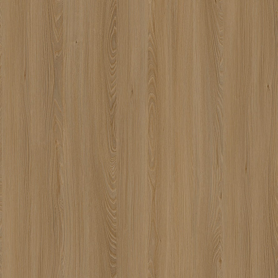 E11032 CAUCASUS ELM