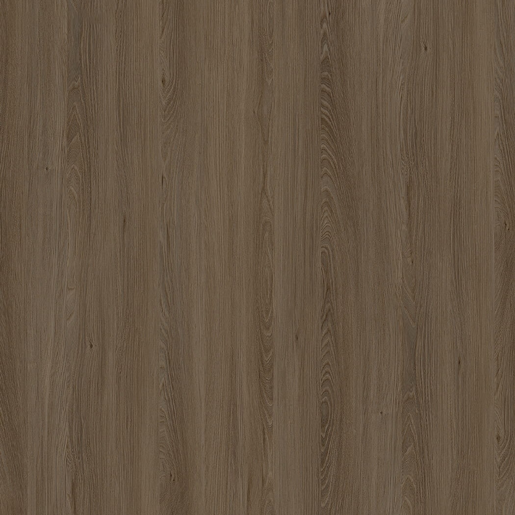 E11032 CAUCASUS ELM