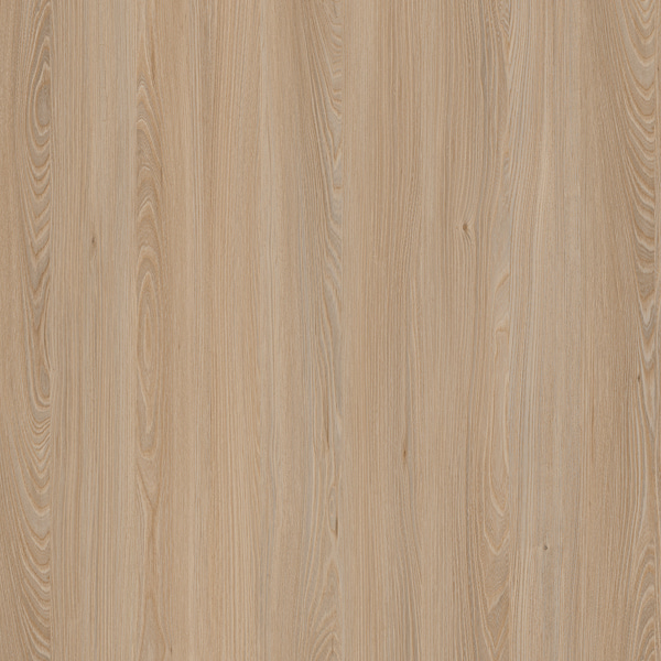 E11032 CAUCASUS ELM