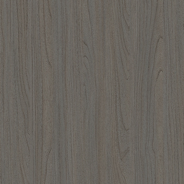 E11024 Elm parfumat antic