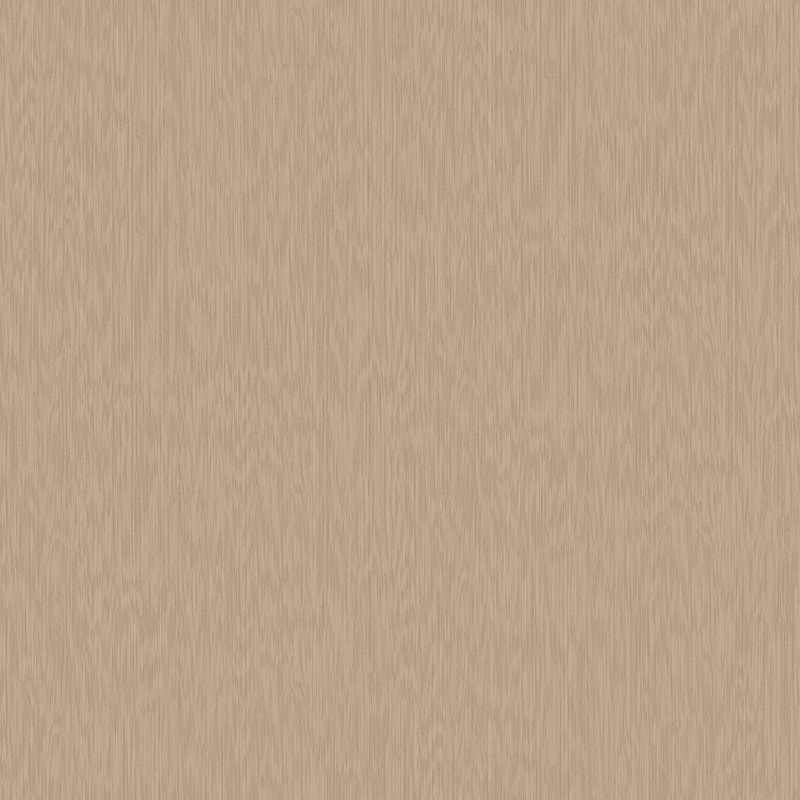 X2072 Wood Technology